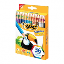Lápis de Cor Sextavado BIC Evolution 36 Cores