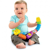 Bichinho de Atividades Lagarta Fisher-Price