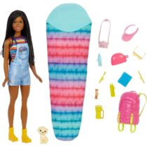 Boneca Barbie Brooklyn Dia de Acampamento