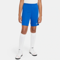 Shorts Nike Infantil Dri-FIT Park 3