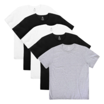 Kit Camiseta Hering Básica Masculina 5 Peças