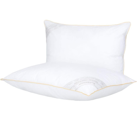 Kit 2 Travesseiros Toque De Pluma Buddemeyer 50x70cm Algodão Branco