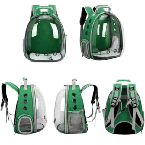 Mochila De Transporte Para Pets Cachorros E Gatos Com Ventilação Transparente Verde