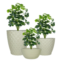 Kit 3 Vasos De Planta Decoração Coluna Bojo Bacia Prato Mesa