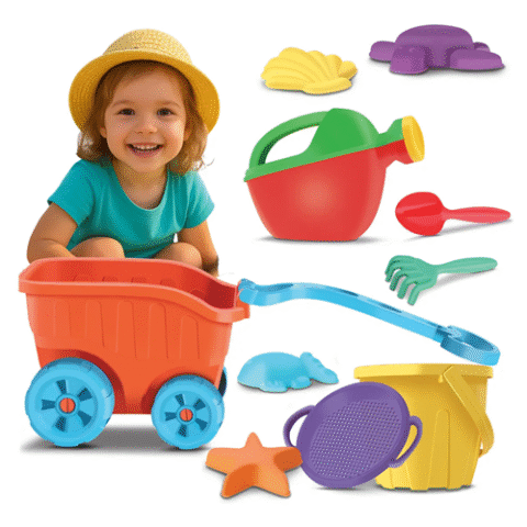 Carriola De Praia Carriola Com Acessórios Divertoys
