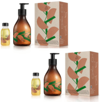 2 Kits Natura Ekos Hidratante Corporal Concentrado de Castanha