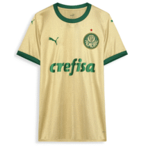 Camisa Palmeiras Puma Original Torcedor Third 2024/25