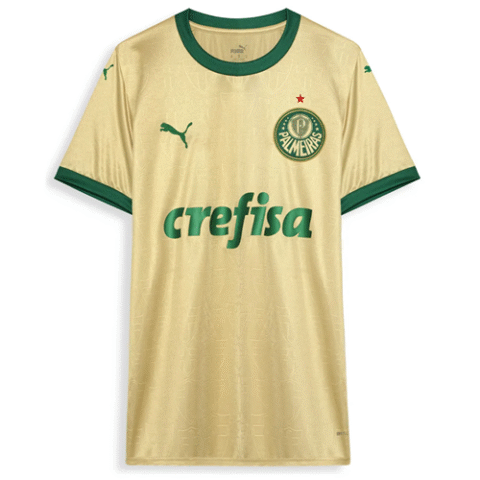 Camisa Palmeiras Puma Original Torcedor Third 2024/25