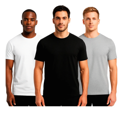 Kit 3 Camisetas Algodão Dia Dia Sandrini Day Confort