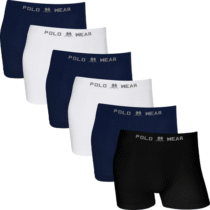 Kit 6 Cuecas Boxer Polo Wear Microfibra Sem Costura Original