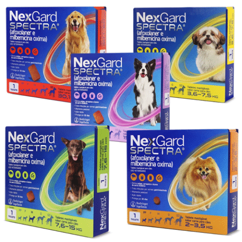 Seleção NexGard Antipulgas e Carrapatos para Cães 2Kg até 60Kg